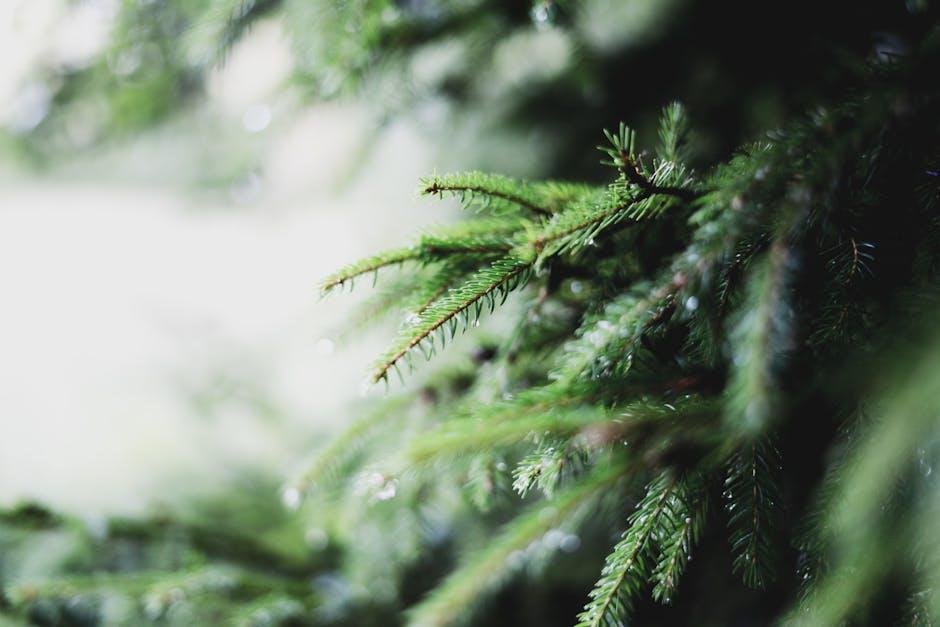 Incorporating Natural Textures for a Balanced Aesthetic